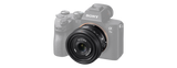 FE 40mm F2.5 G (SEL40F25G) 4